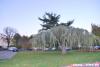 Lausanne 038