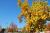 Lausanne 003