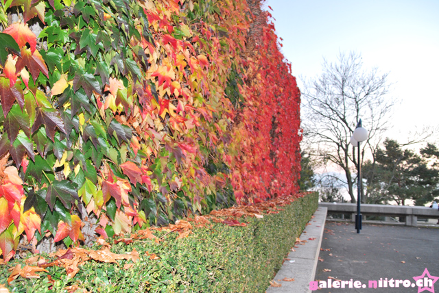 Lausanne 037