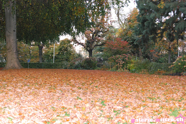 Lausanne 040