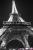 Paris 2009 052