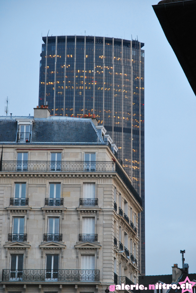Paris 2009 040