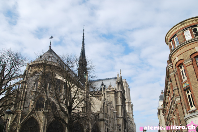 Paris 2009 073